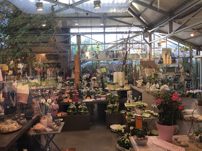 Blumen Doetkotte | Gronau