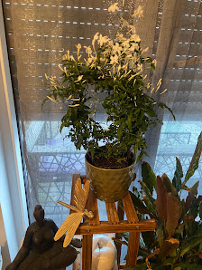 Blumenhaus Floristika