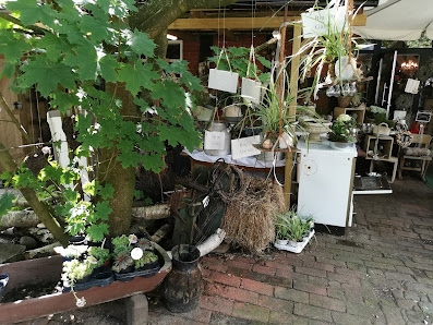 Duft & Dornen Inh. Anke Koenig