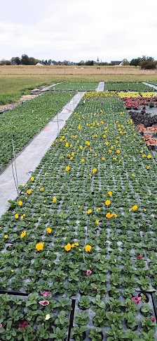 Gartenbau und Tofalls Blumenecke Inh.Sebastian Tofall