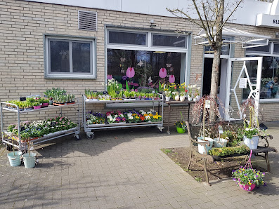 Blatt-Werk - Blumen, Ideen, Wohnart