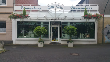 ABC-Blumenhaus Colle GmbH