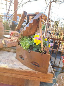 Im Grünen Glück - St. Schniedermeier - Garten und Pflanzen Center
