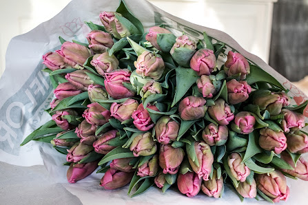 Blumenhof Benzing & Benzing Online Shop