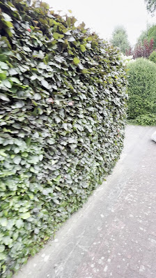 Der Mähmeister Galabau & Gartenpflege
