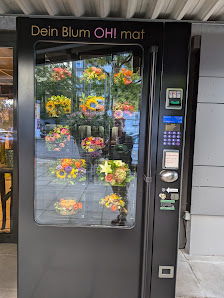 Blumen Steinle GmbH