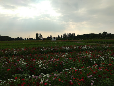 Hans und Elisabeth Grutsch Gartenbaubetrieb