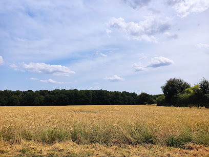 Gartenbauer