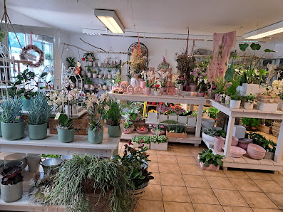 Holland Blumen Shop