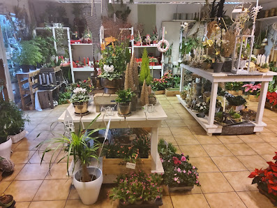 Holland Blumen Shop