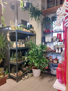 Blumenshop Nigel