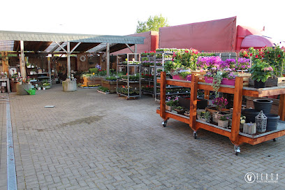 Die Blumenhalle Südfels Burlo