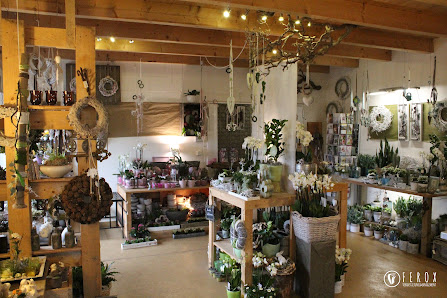 Die Blumenhalle Südfels Burlo