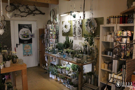 Die Blumenhalle Südfels Burlo