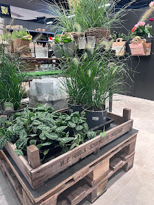 Wansing Flowershop