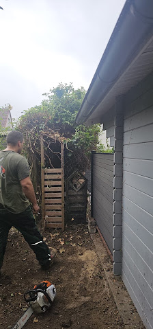 bs-gartenbaumpflege.com