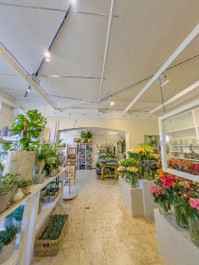 Blumenhaus Kampshoff- van de Sand
