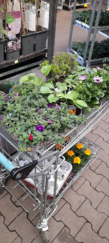 FN Flowers
