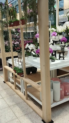 Gartencenter Selbach Leverkusen