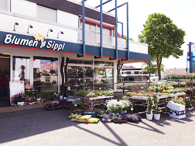 Blumen Sippl - Inh. Kerstin Sippl