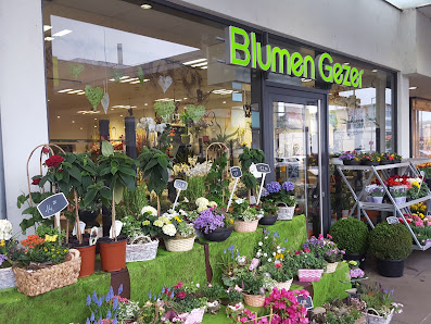 Violeta‘s Blumen