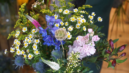 Blumen Rauck