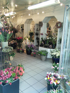 Blumen Ebinghaus