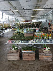 Gartencenter Meckelburg