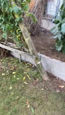 Gartenpflege-Buzhala