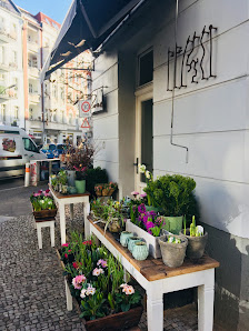 Frau Rose Floristik