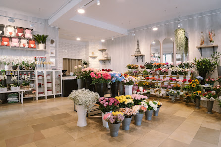 Blumen Rose de la vie Düsseldorf