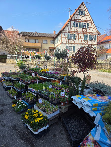 Blumenhaus Geiser