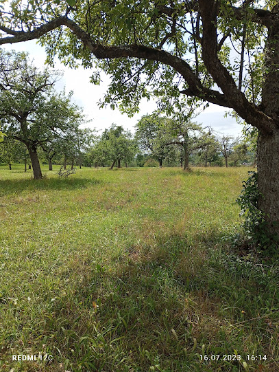 Gartenbauer