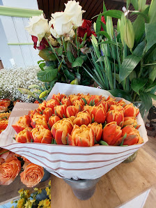 Bubikopf floristik Rosenfeld