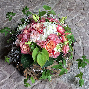 Blatt & Blüte - Sabine Drechsel