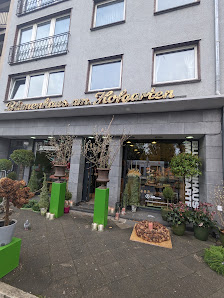 Blumenhaus am Hofgarten -Tino Hoogterp