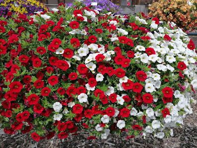 Blumenfachgeschäft- Hörnlen