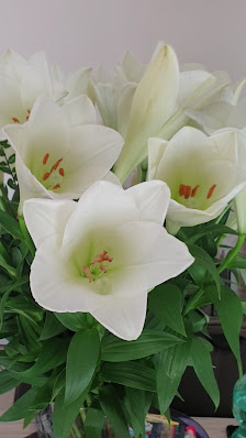 Blumenhaus Fritz Bornemeyer Inh. Ralph Okagbue e.K.
