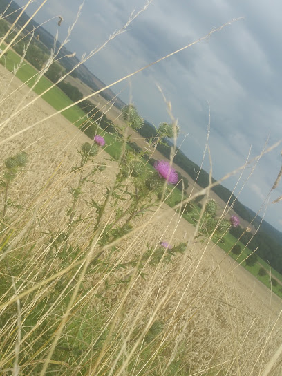 Barntrup
