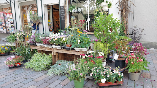 Blumen-Atelier