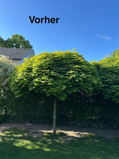 Garten und Landschaftsbau Marcel Tiganesco