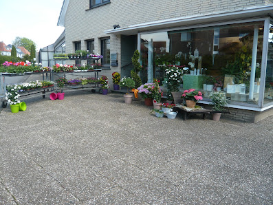 Blumenhaus Mittelberg