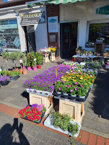 Blumenhandel Walisko
