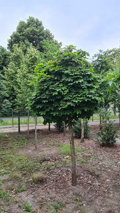 Garten- und Landschaftsbau Engelmeier