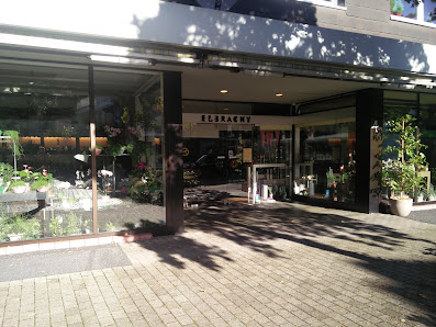 Elbracht