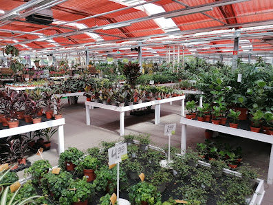 Blumen Risse Gartencenter Hemer