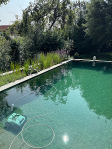 Immergrün - Garten- und Landschaftsbau