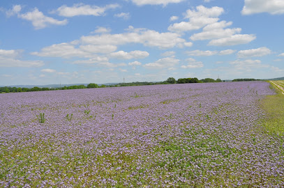 Gartenbauer in Lage