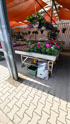 Leuchtenberg's Blumen- und Pflanzenmarkt