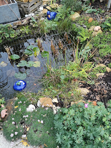 Marcus Luthe GbR Garten- und Landschaftsbau